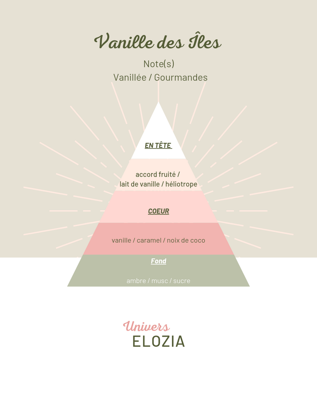 Vanille des Îles 20gr