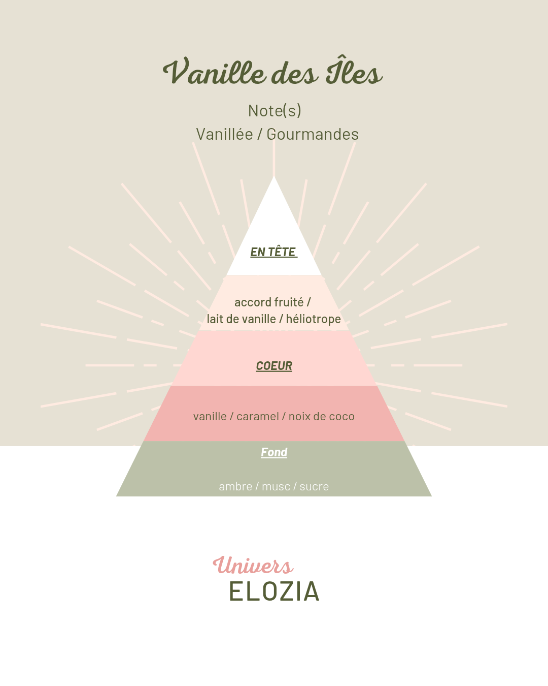 Vanille des Îles 20gr