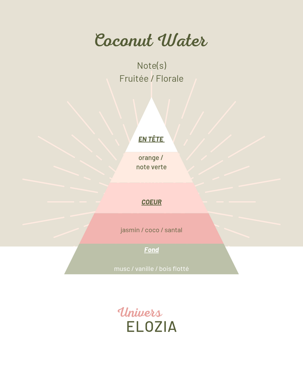 Coconut Water 100gr