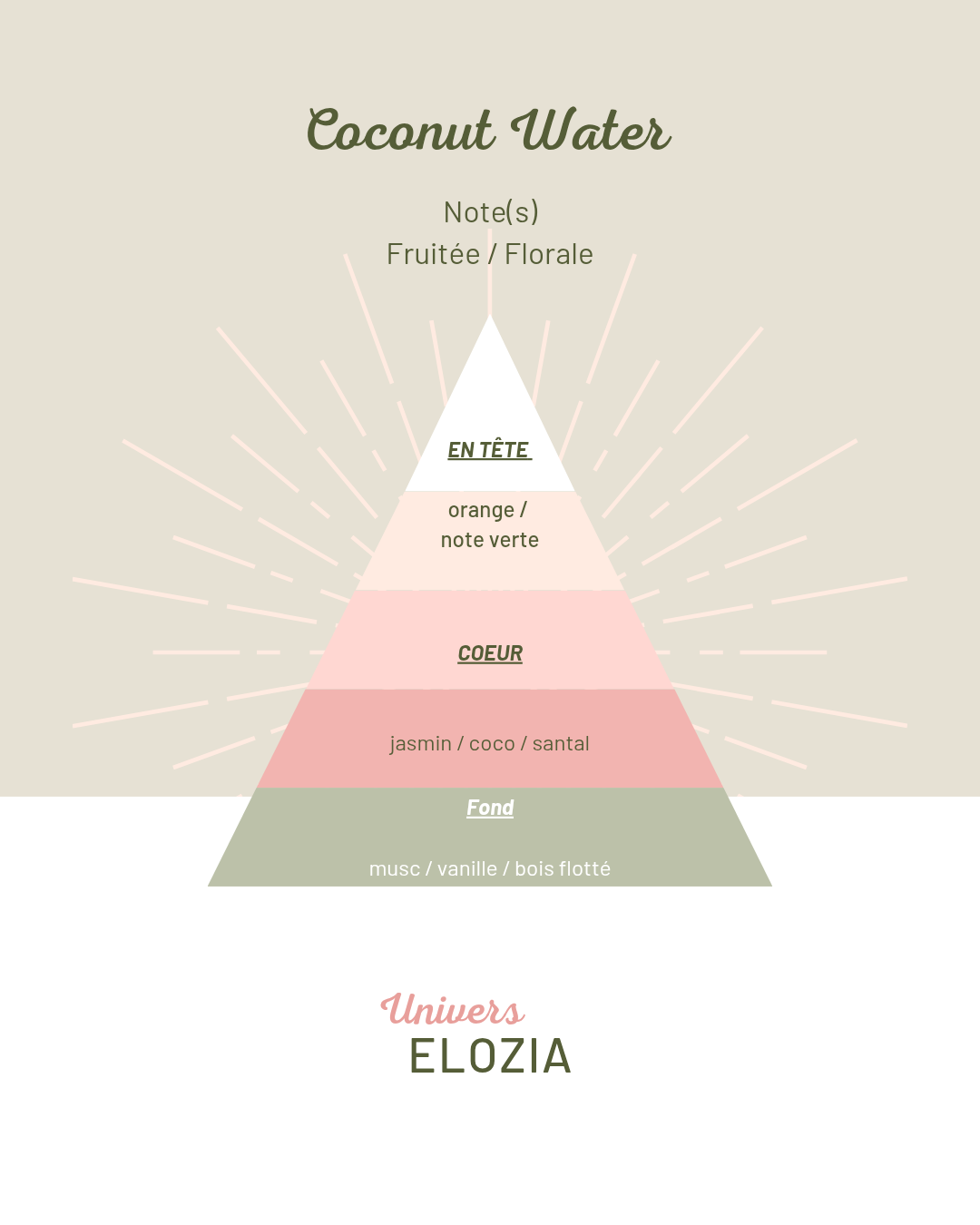 Coconut Water 100gr