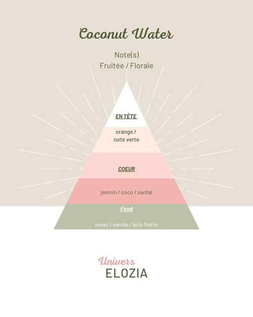 Coconut Water 100gr