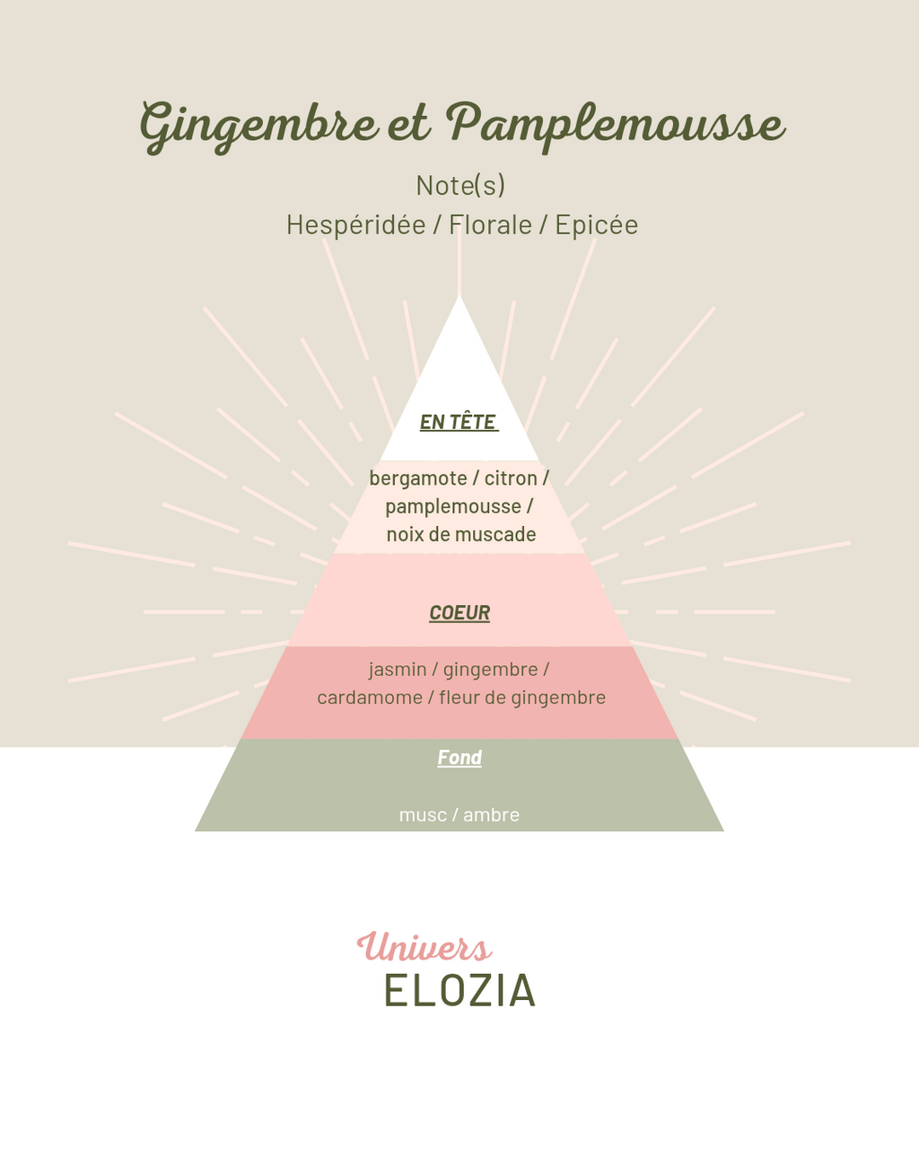 Gingembre & Pamplemousse 100gr