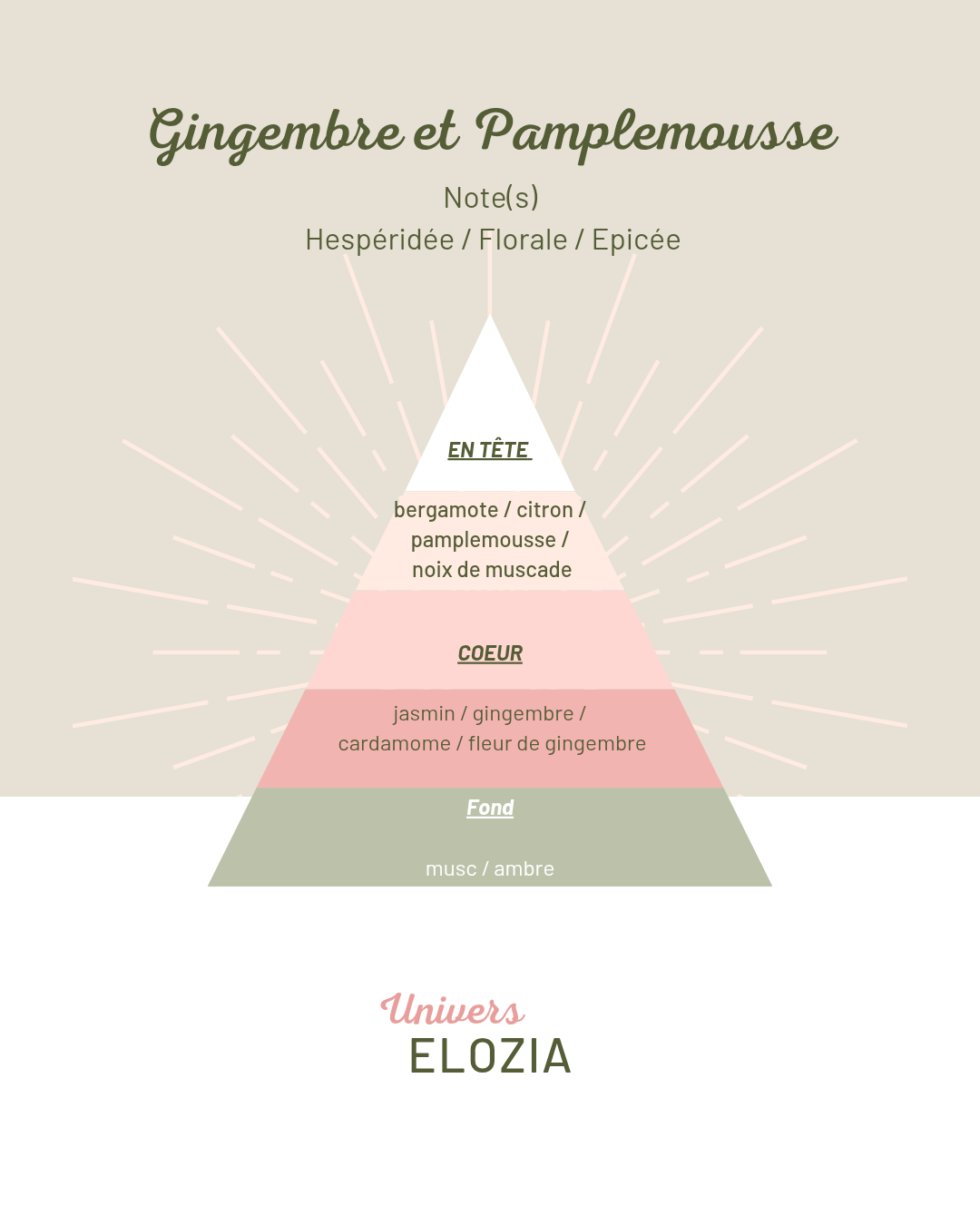 Gingembre & Pamplemousse 100gr