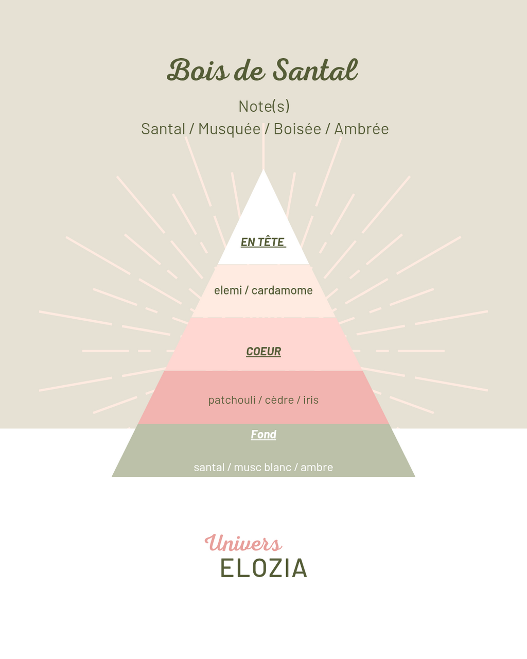 Bois de Santal 100gr