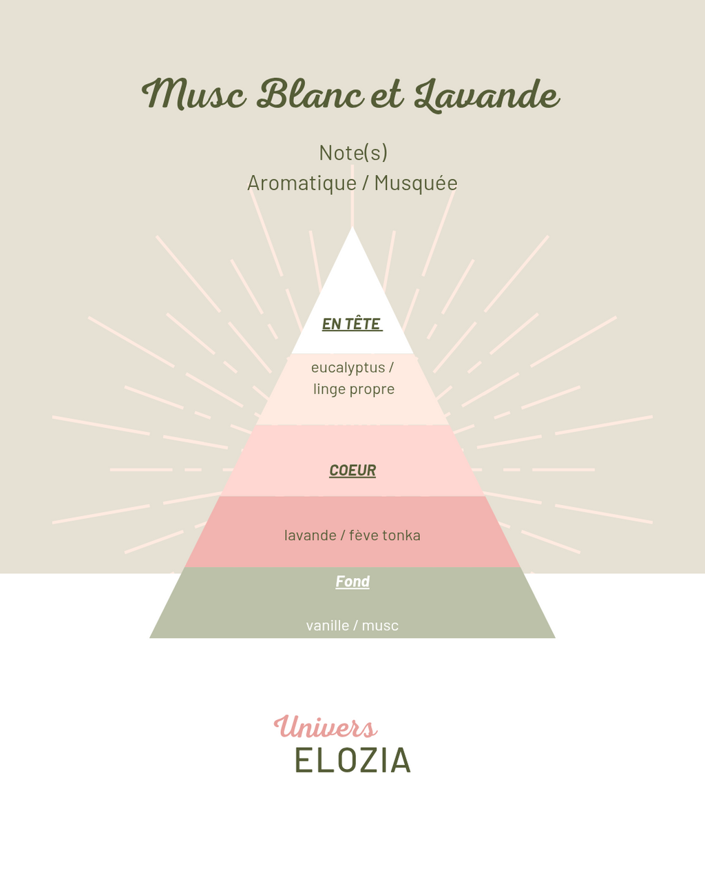 Musc Blanc et Lavande 100gr