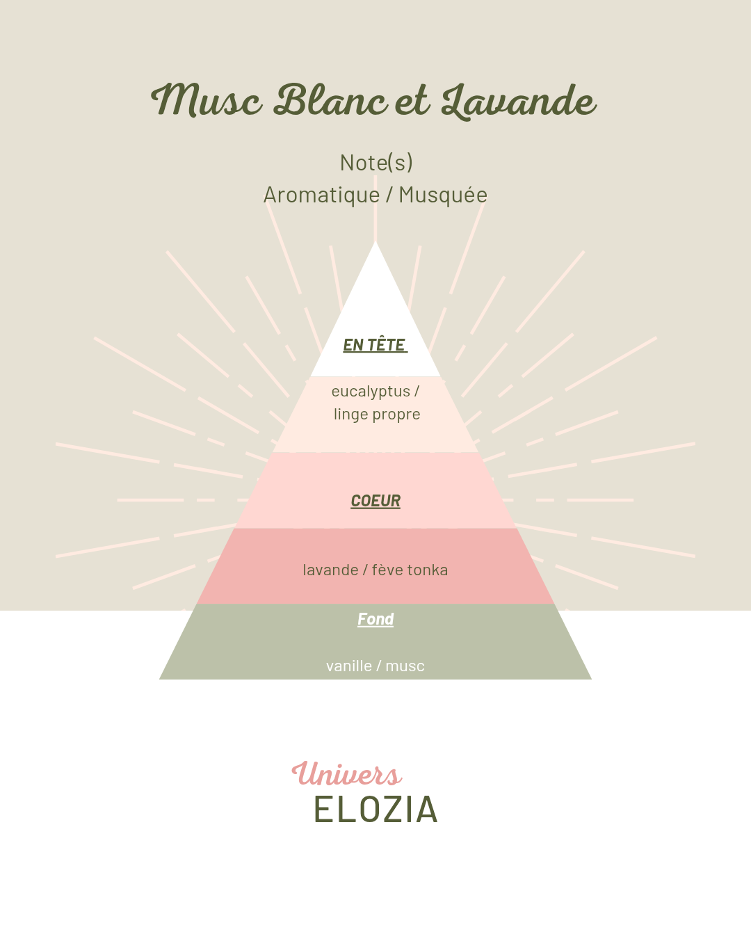 Musc Blanc et Lavande 100gr