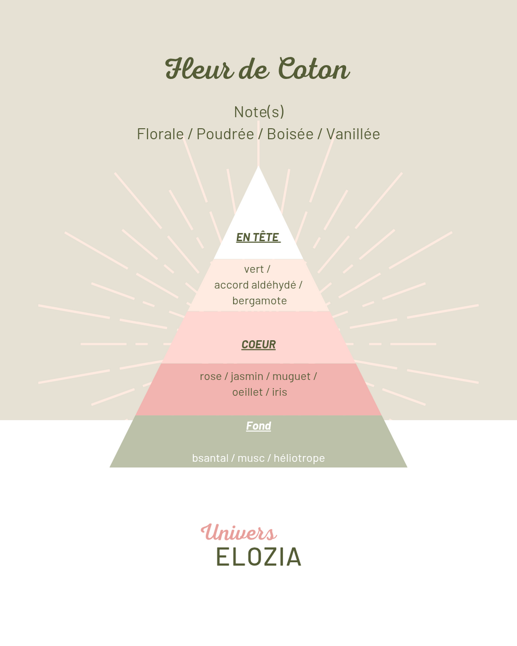 Fleur de Coton 100gr