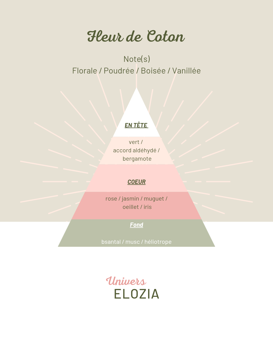Fleur de Coton 100gr